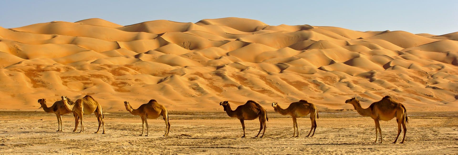 Family holiday to Oman - through the eyes of a child DT 15966019