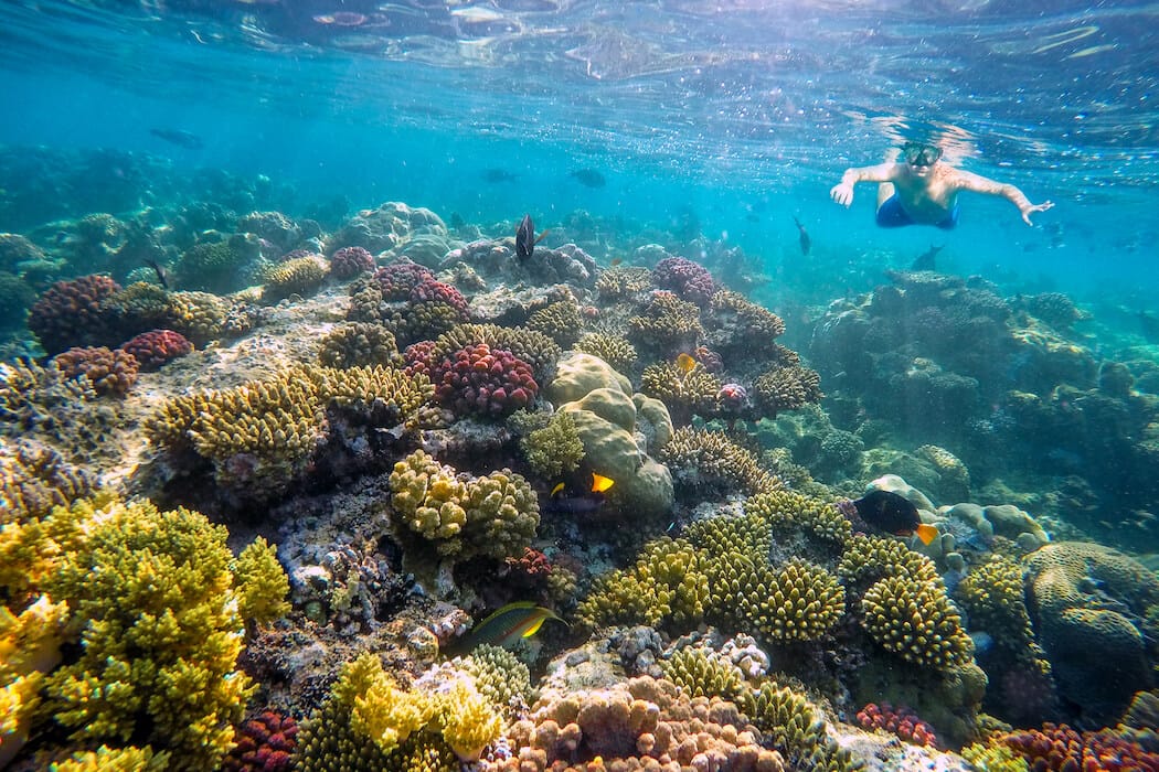 Snorkel in the Red Sea on a family holiday to Jordan