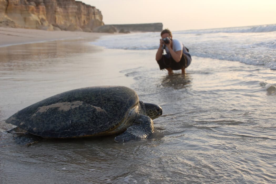 Turtle watching on a family holiday to Oman