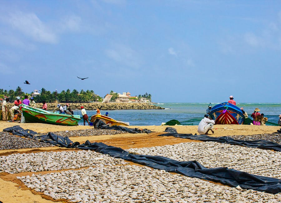 Fishermen on the beach in Negombo Sri Lanka 011 © Bennetts