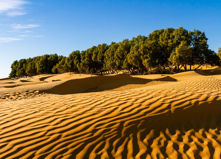 Ksar Ghilane Tunisia DT 308042502