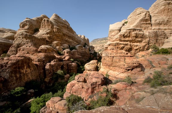 Where to travel in Dana and Feynan (Dana National Park) Jordan DT 36064015