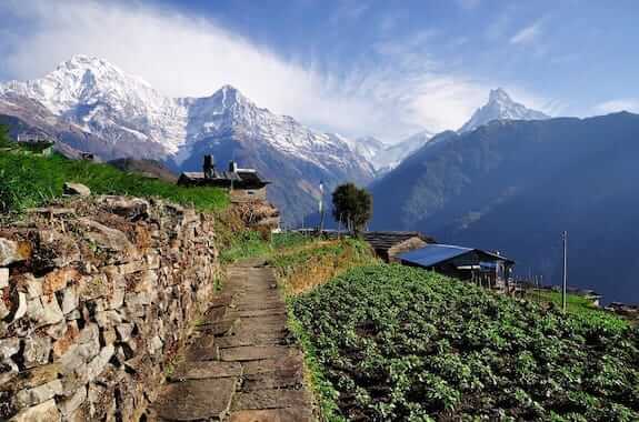 Where to travel in Nepal - the Annapurna Foothills (Ghandruk village Annapurna South) DT 31210708