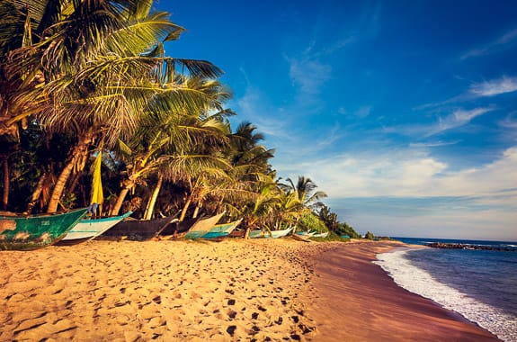 Where to travel in Tangalle and the South Coast (Mirissa Beach) Sri Lanka DT 29341925