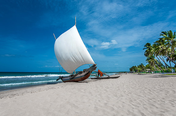 Where to travel in Trincomalee and the East Coast DT 57308293