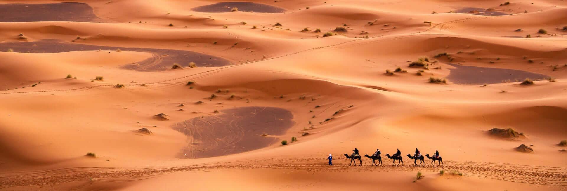 Where to travel in Tunisia - Tozeur and the Sahara DT 38642921