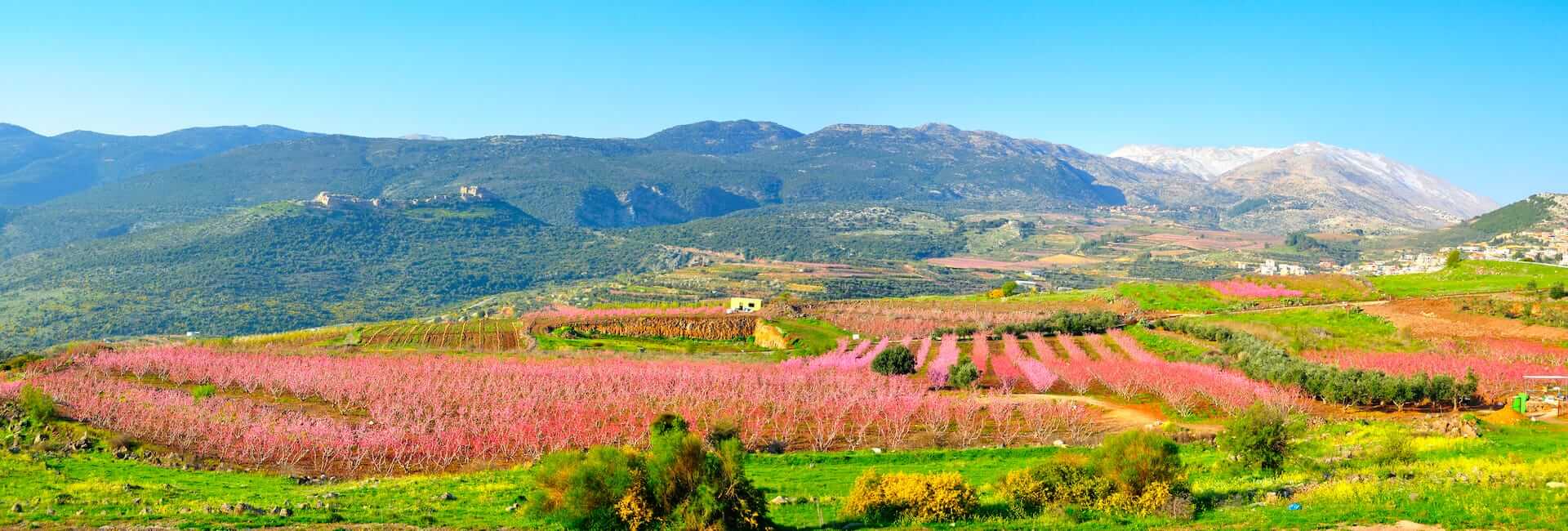 Where to travel in the Golan Heights (Hermon Mountain) Israel DT 24078962