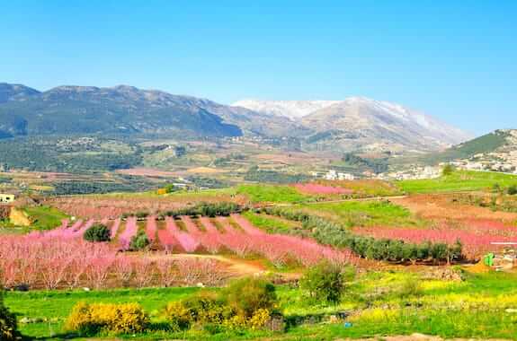 Where to travel in the Golan Heights (Hermon Mountain) in Israel DT 24078962