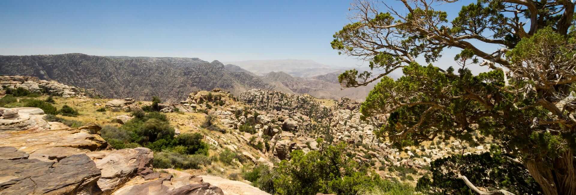 Where to visit in Dana and Feynan Jordan DT 45305609