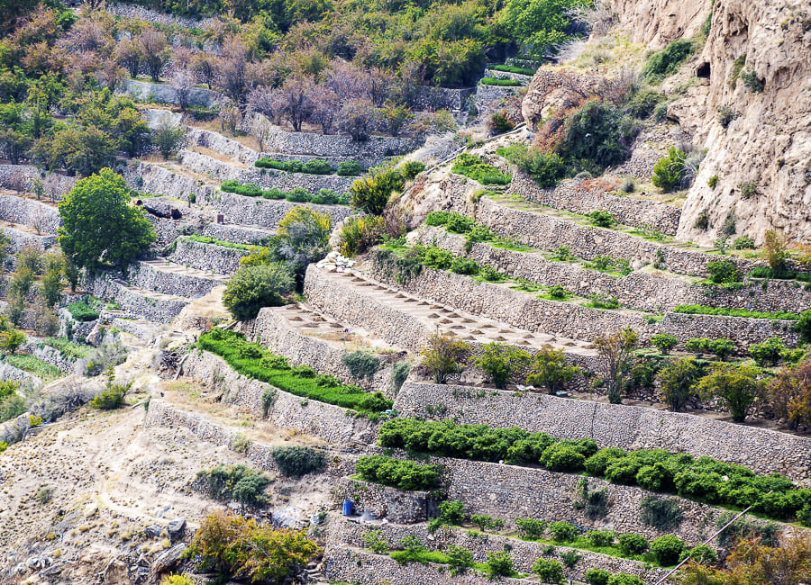 Al Hajar Mountains (Western Hajar. Saiq Plateau) Oman DT 45304149