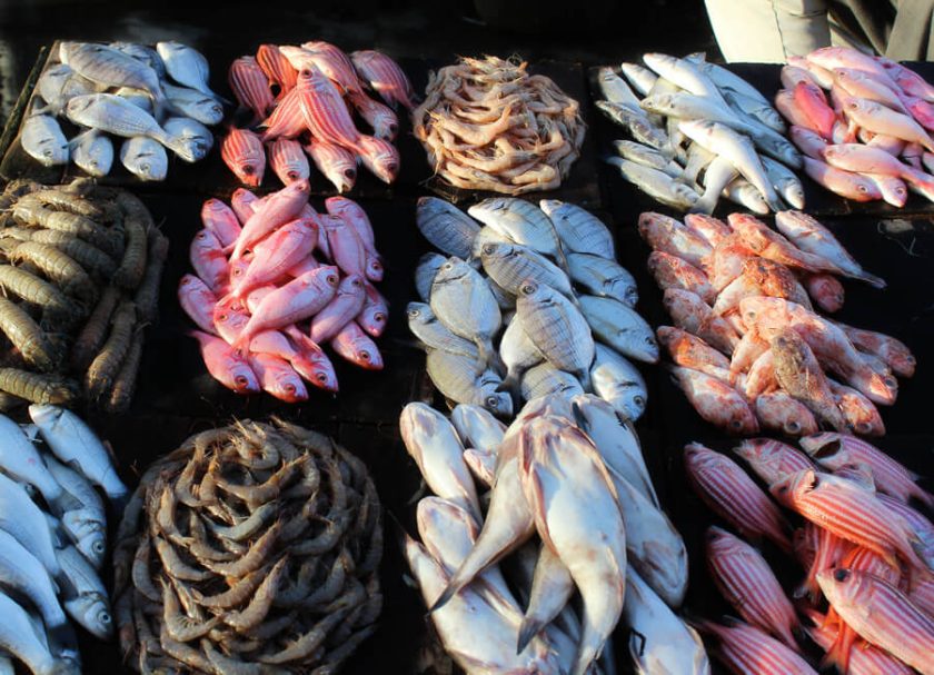 Alexandria (fish market Halaket El-Samak) Egypt DT 185576139