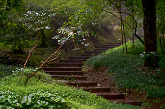 Batumi (Botanical Garden) Georgia DT 250303192