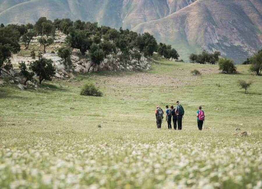 Beit Al Baraka Umm Qais Jordan