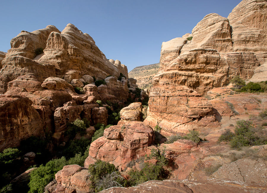 Dana (Dana National Park) Jordan DT 36064015