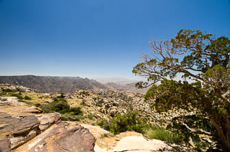 Dana (Rummana Camp) Jordan DT 45305609