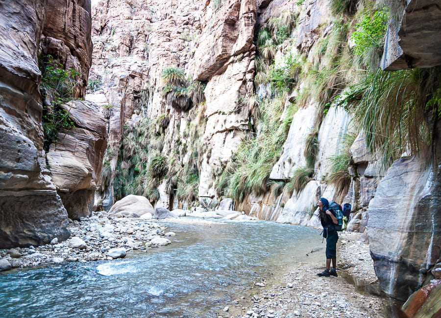 Dead Sea (Wadi al-Hasa) Jordan DT 31548817
