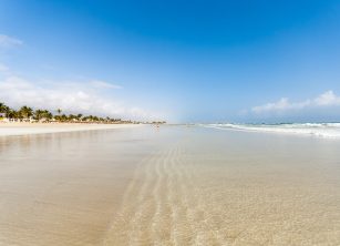 Dhofar (Salalah beach) Oman DT 78681571