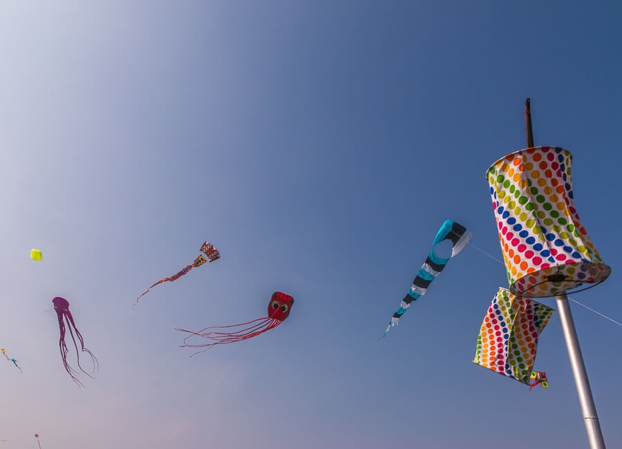 Gujarat (Ahmadabad. International Kite Festival Uttarayan Festival) India DT 43271133