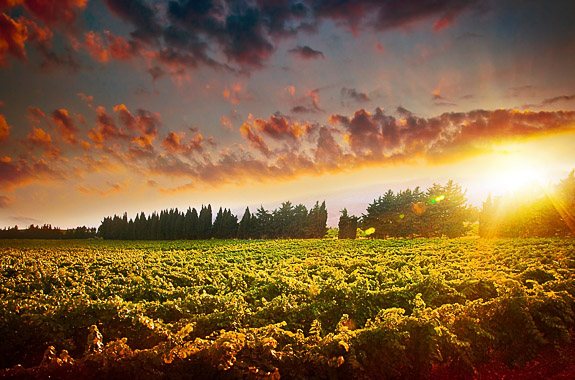 Lebanon Summer Holiday - luxury Lebanon holiday DT 23985720-2