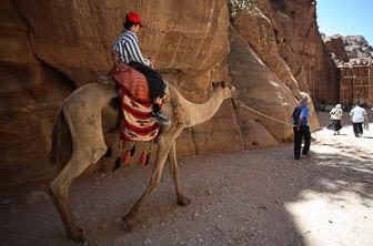 Petra (camel ride) Jordan DT 1414326
