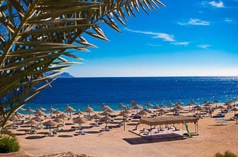 Sharm el Sheikh Red Sea Egypt DT 11579321