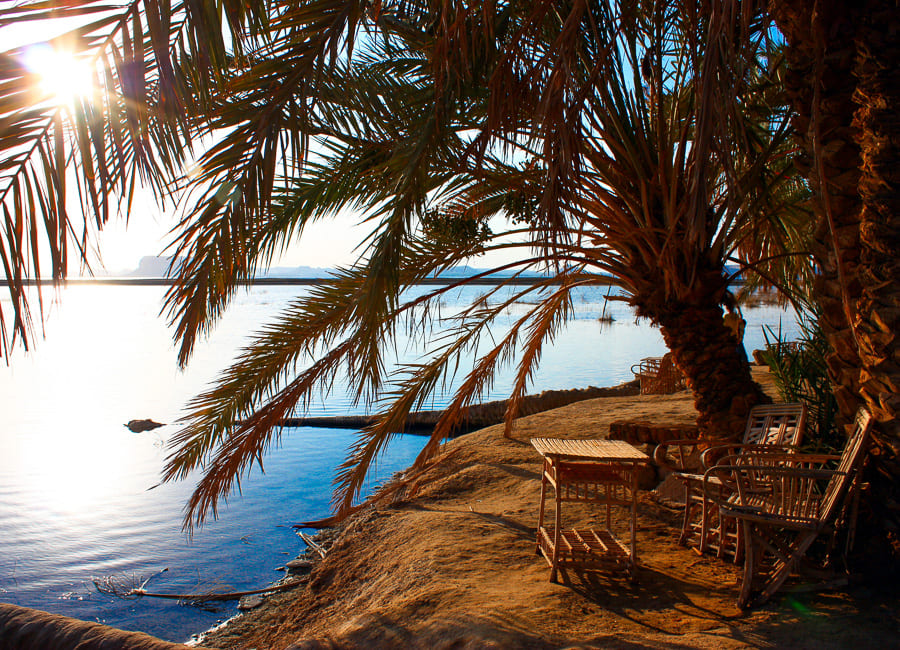 Siwa (Siwa Oasis) Egypt DT 65474564
