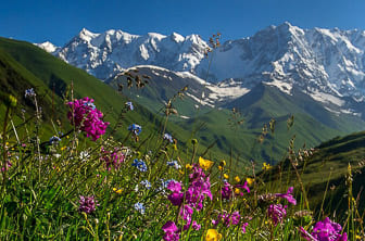 Svaneti (Alpine Valley) Georgia DT 42386423