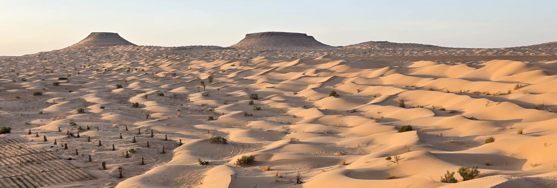 Tunisia Oases and Sahara - private Tunisia holiday (Tembaine Sahara Desert Tunisia © Hugh Fraser 1)