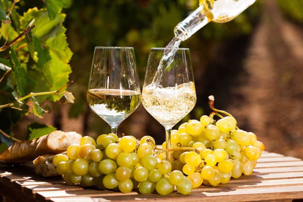 Unmissable sights and experiences in Georgia - Wine tasting in Kakheti DT 126037187