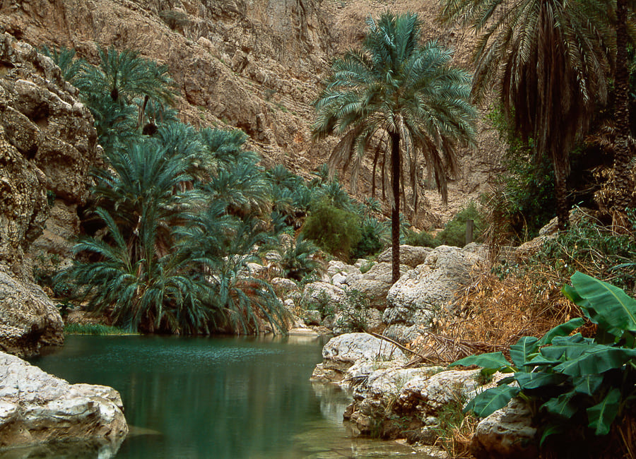 Wadi Shab Oman DT 12964567