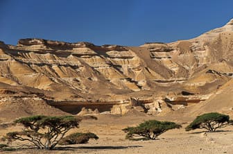 Wadi Shuwaymiyah Oman DT 49338222