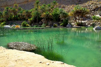 Wadi Tiwi Oman DT 21483237