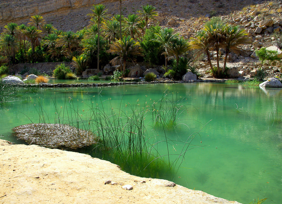 Wadi Tiwi Oman DT 21483237