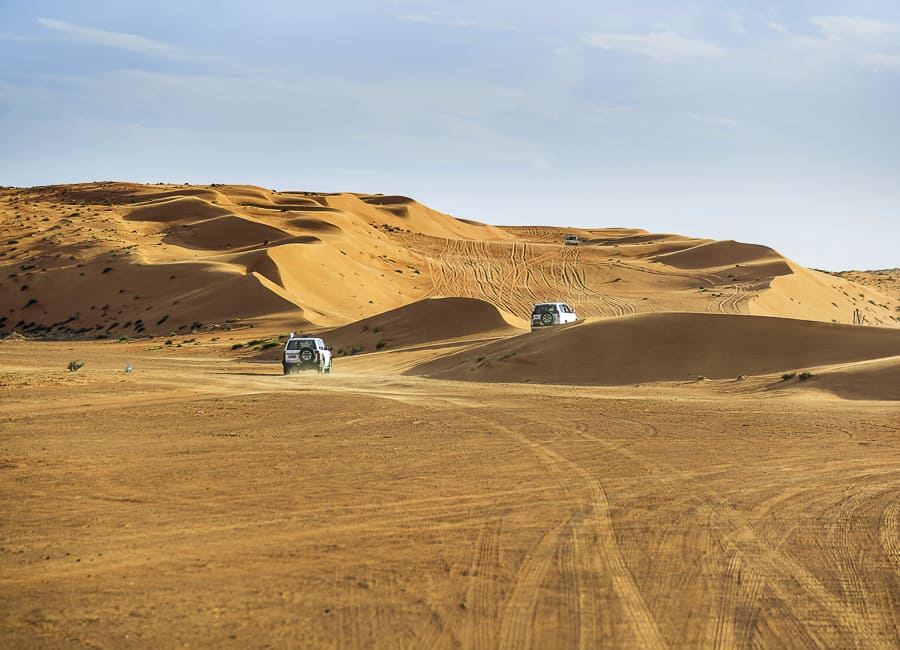 Wahiba Sands Oman DT 40503350