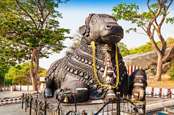 Where to travel in South India - Mysore (Nandi Bull) India DT 34787304