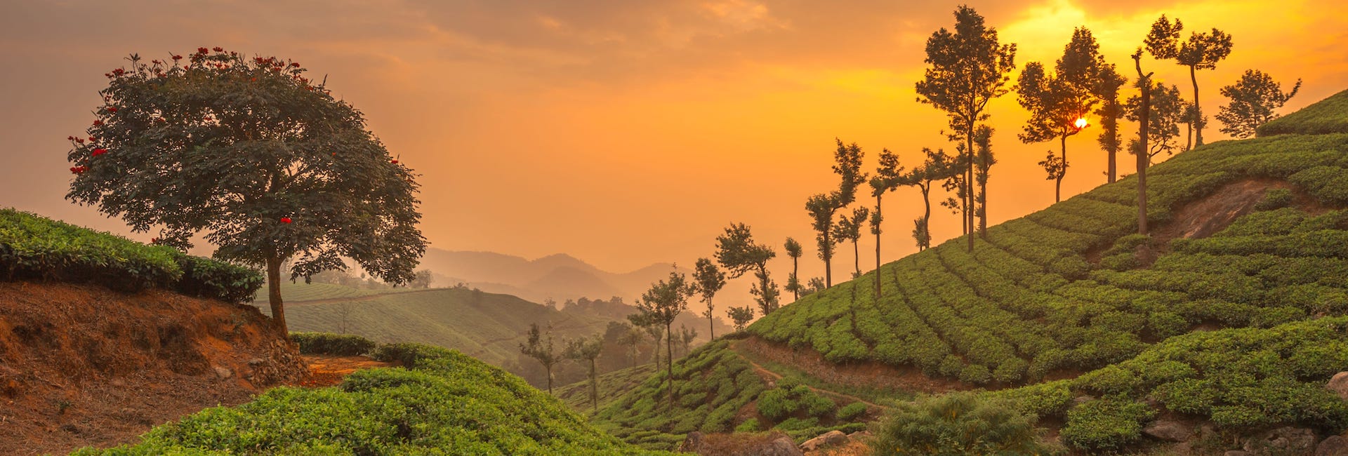A guide to the best hill stations in South India DT29487013 DT9487013
