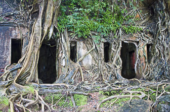 Andaman Islands (Ross Island) DT 22575417
