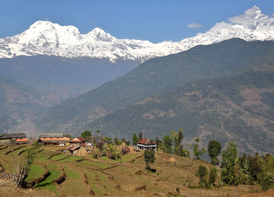 Annapurna (Dhampus village) Nepal DT 86605053