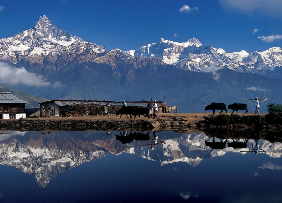 Annapurna (Dhampus village. Mount Machapuchare) Nepal DT 47248820
