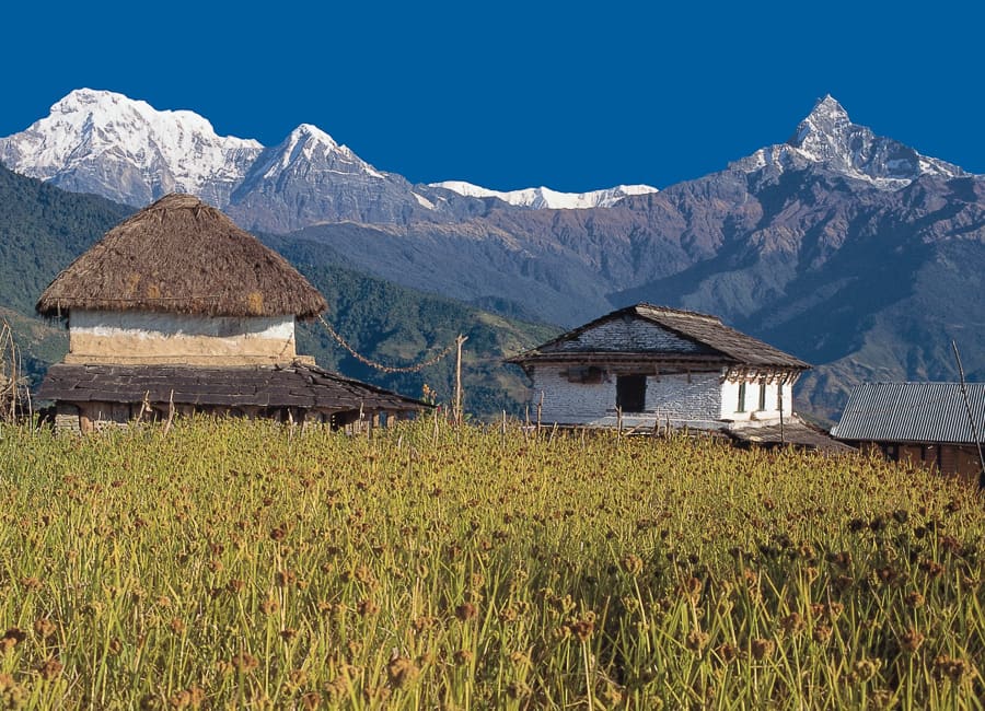 Annapurna (Dhampus village. Mount Machapuchare. Annapurna South. Hiunchuli) Nepal DT 47738636