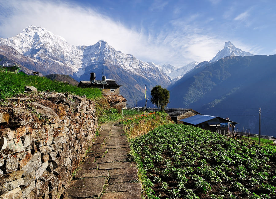 Annapurna (Ghandruk village. Annapurna South) Nepal DT 30318307