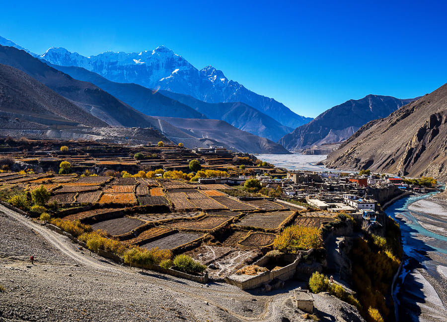 Annapurna (Kagbeni. Upper Mustang) Nepal DT 86142634