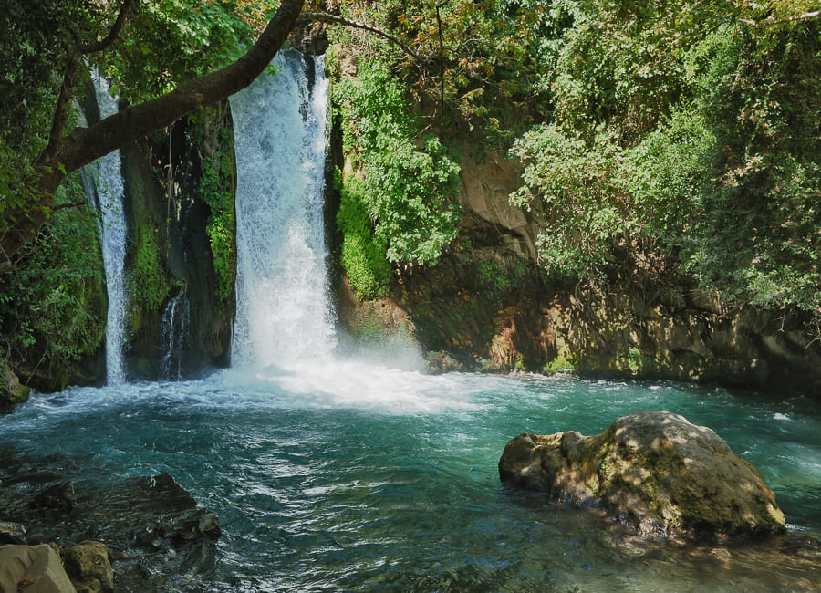 Banias Nature Reserve (waterfall) Israel DT 20109133