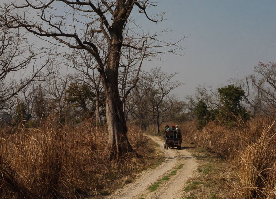 Chitwan National Park Nepal DT 100485040
