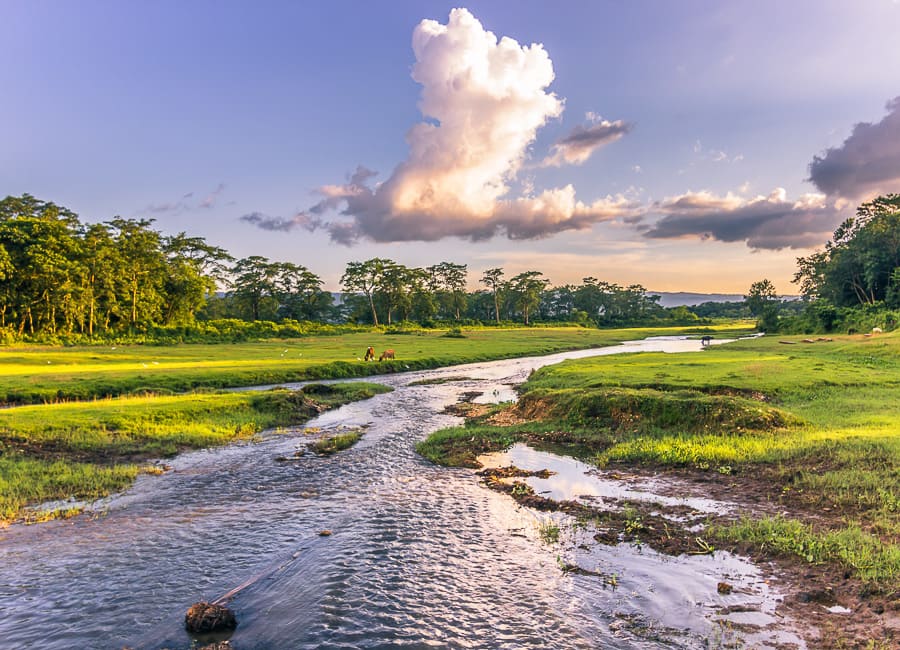 Chitwan National Park Nepal DT 86662619