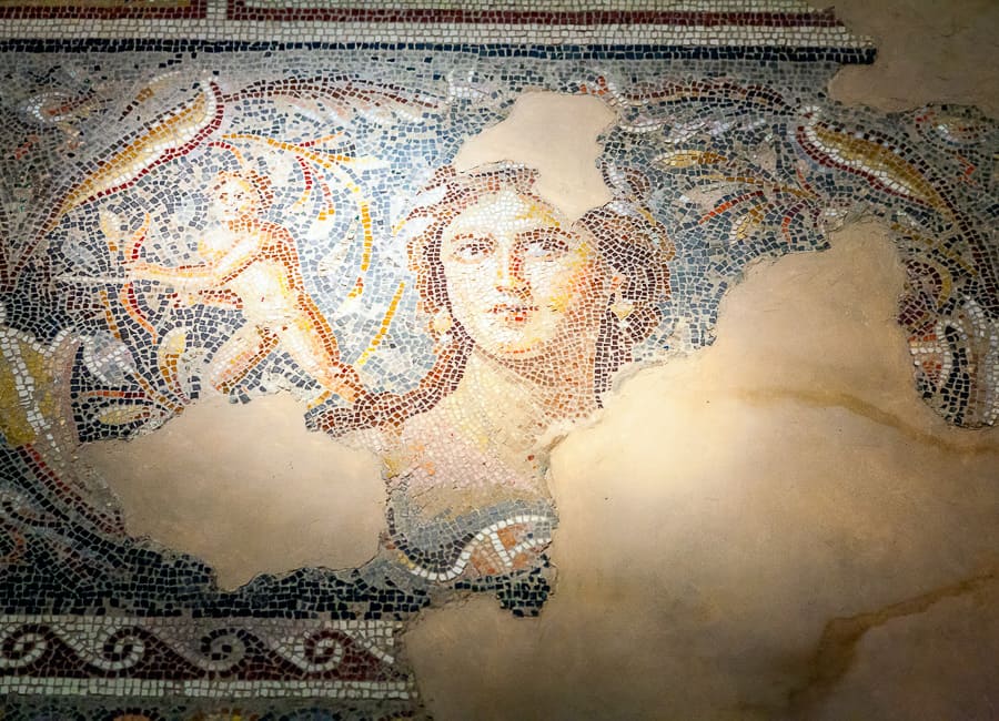 Galilee (Tzipori National Park. mosaic) Israel DT 41287683