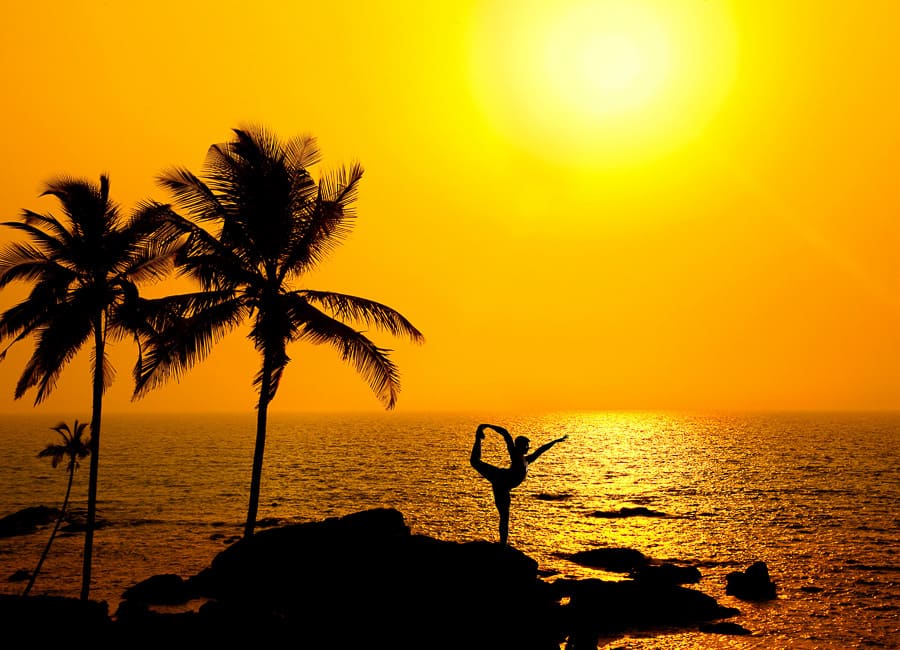 Goa (Vagator beach) India DT 21478689