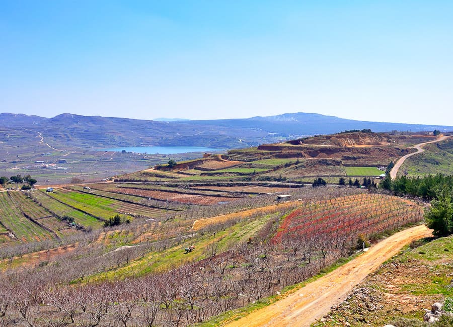 Golan Heights (Birkat Ram) Israel DT 24093146