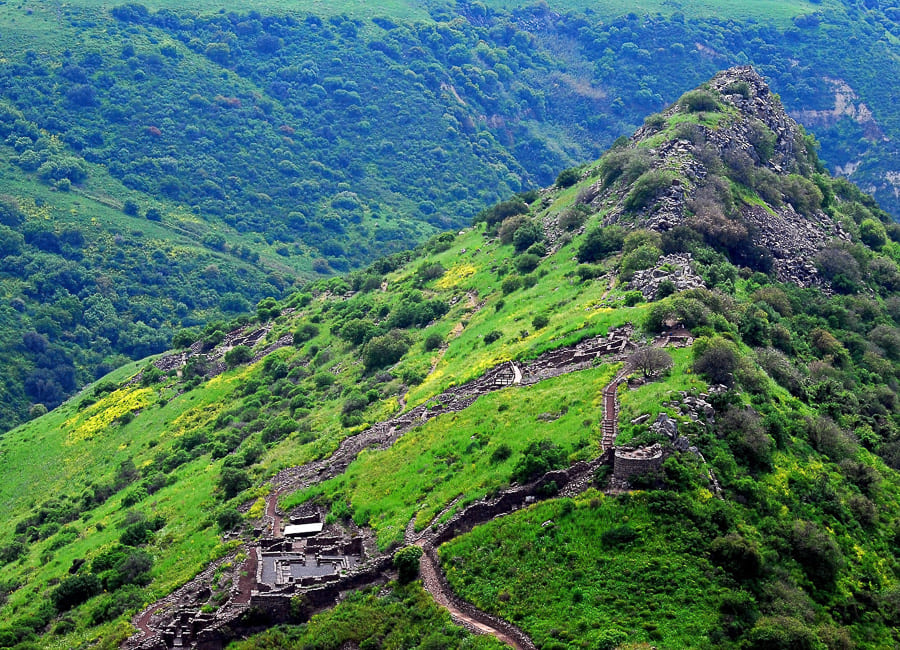 Golan Heights (Gamla) Israel DT 19023236