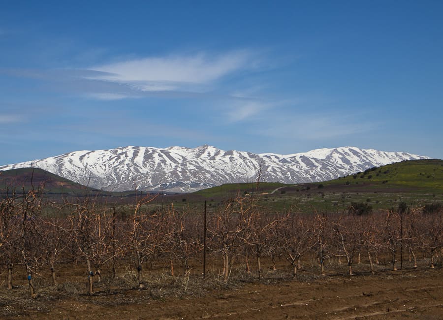 Golan Heights (Hermon Mountain) Israel DT 18985065
